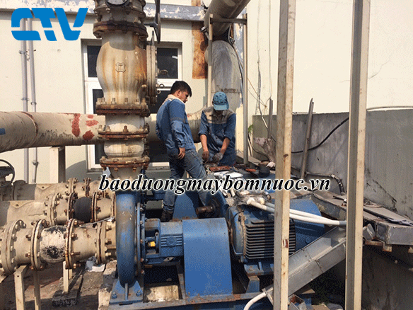Máy bơm bị cavitation: Nguyên nhân và cách khắc phục